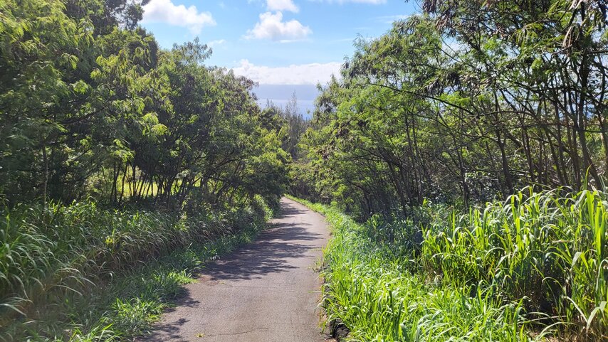 Kapalua hiking trail, Maui, Hawaii